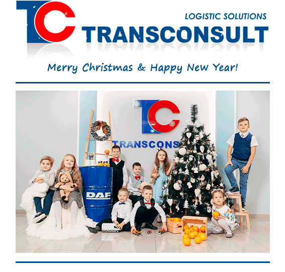 Transonsult Team wishes you a Merry Christmas!